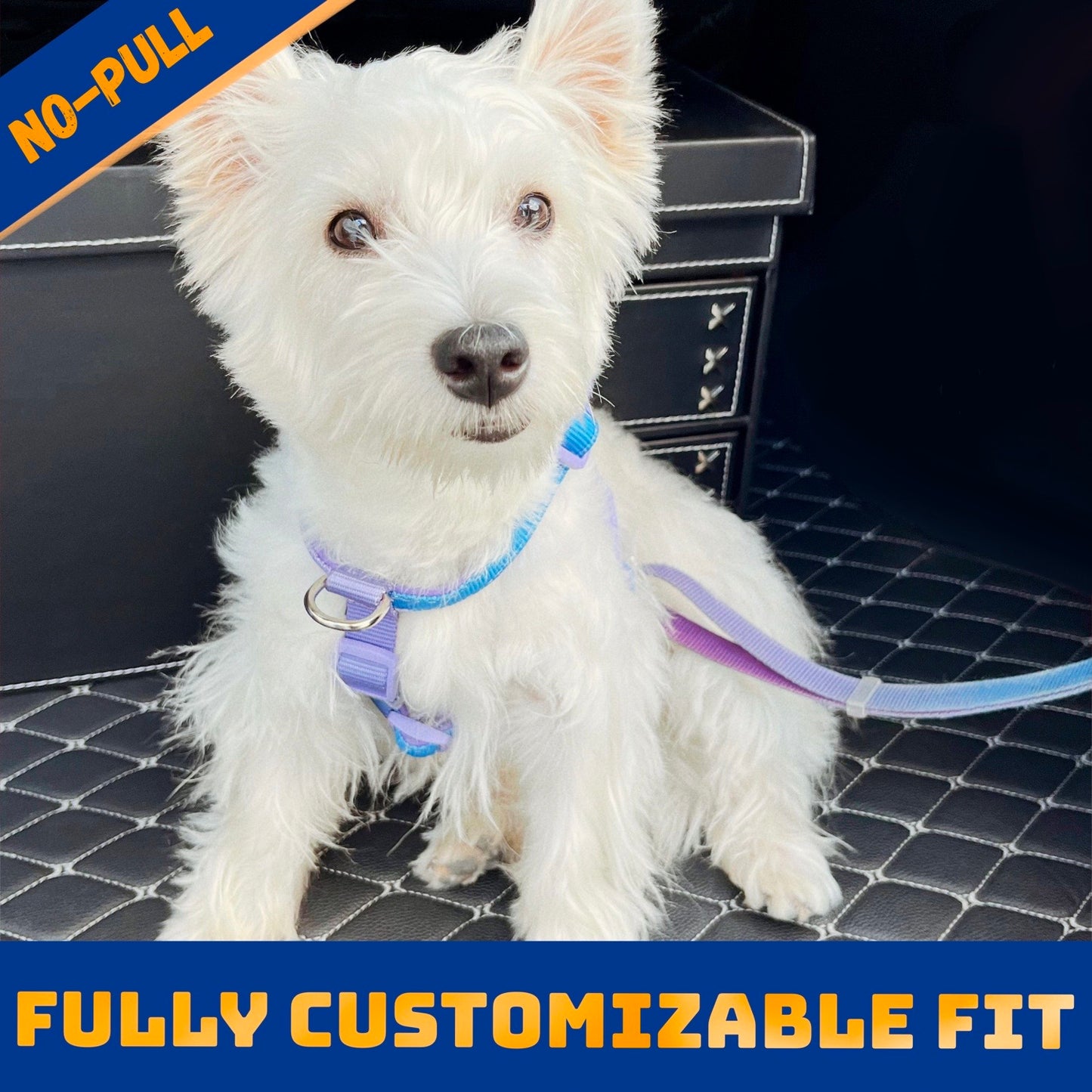 No-Pull Front Clip Neoprene Harness