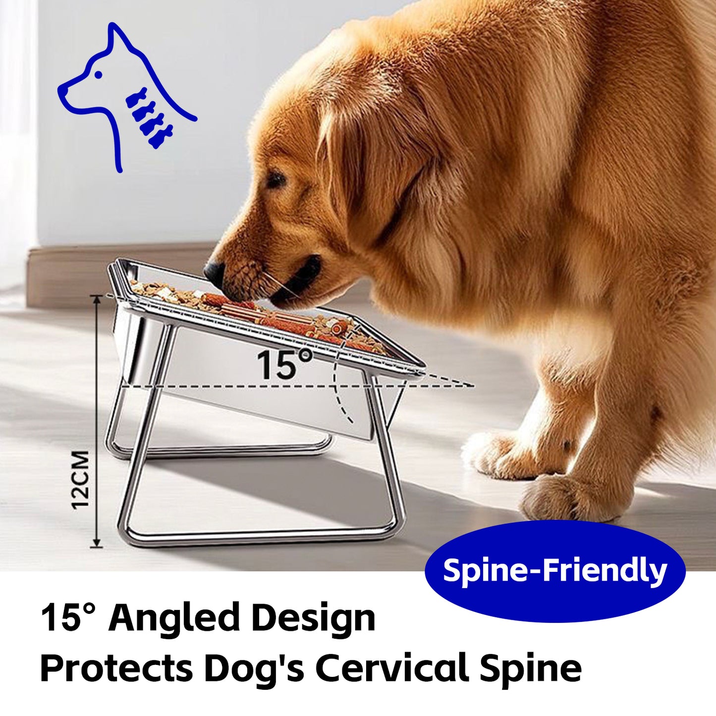 Stainless Steel Spine Friendly Bowl