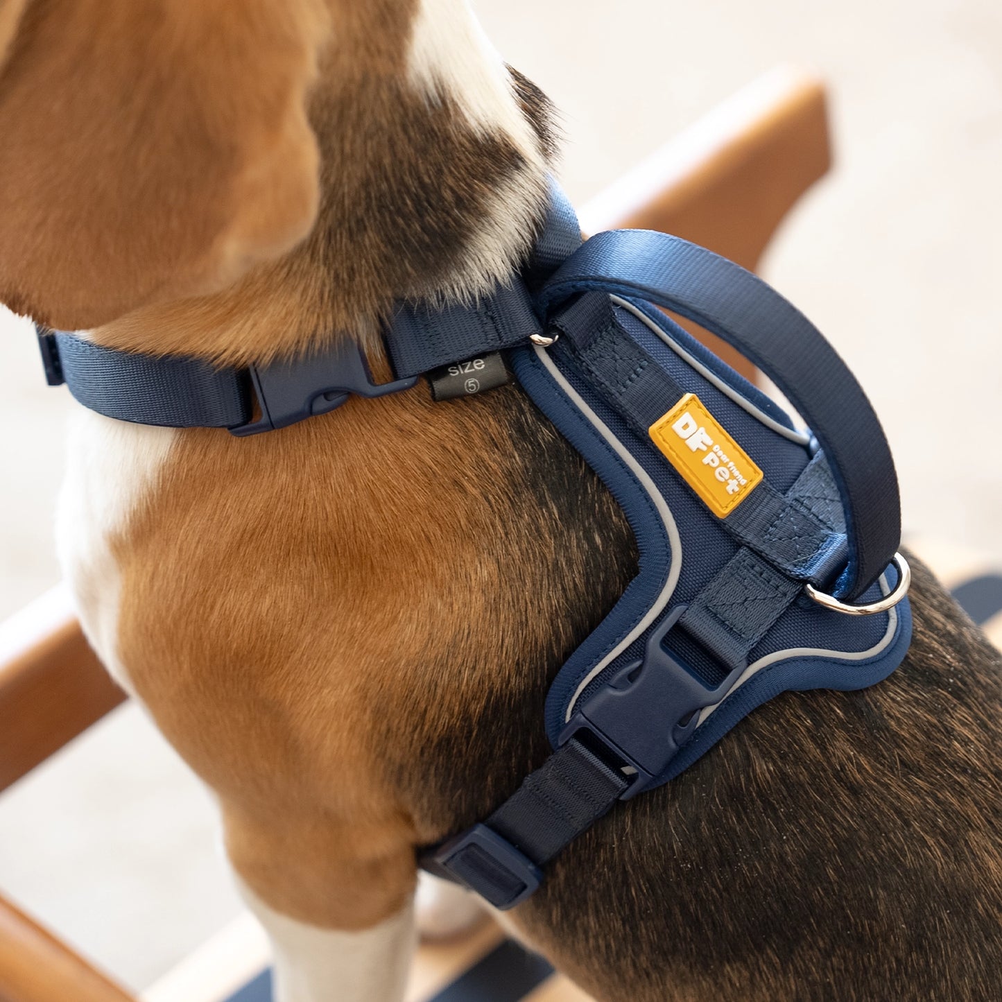 Martingo Dash Harness Walk Kit - Navy Blue