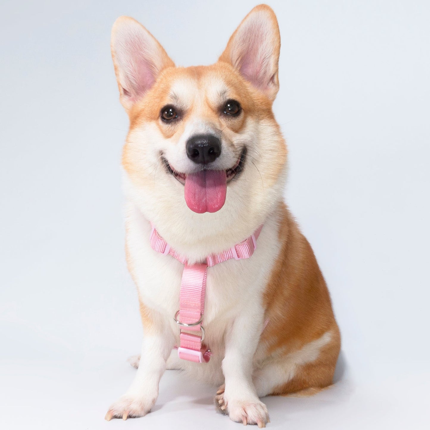 Martingale No-Pull Harness - Pink