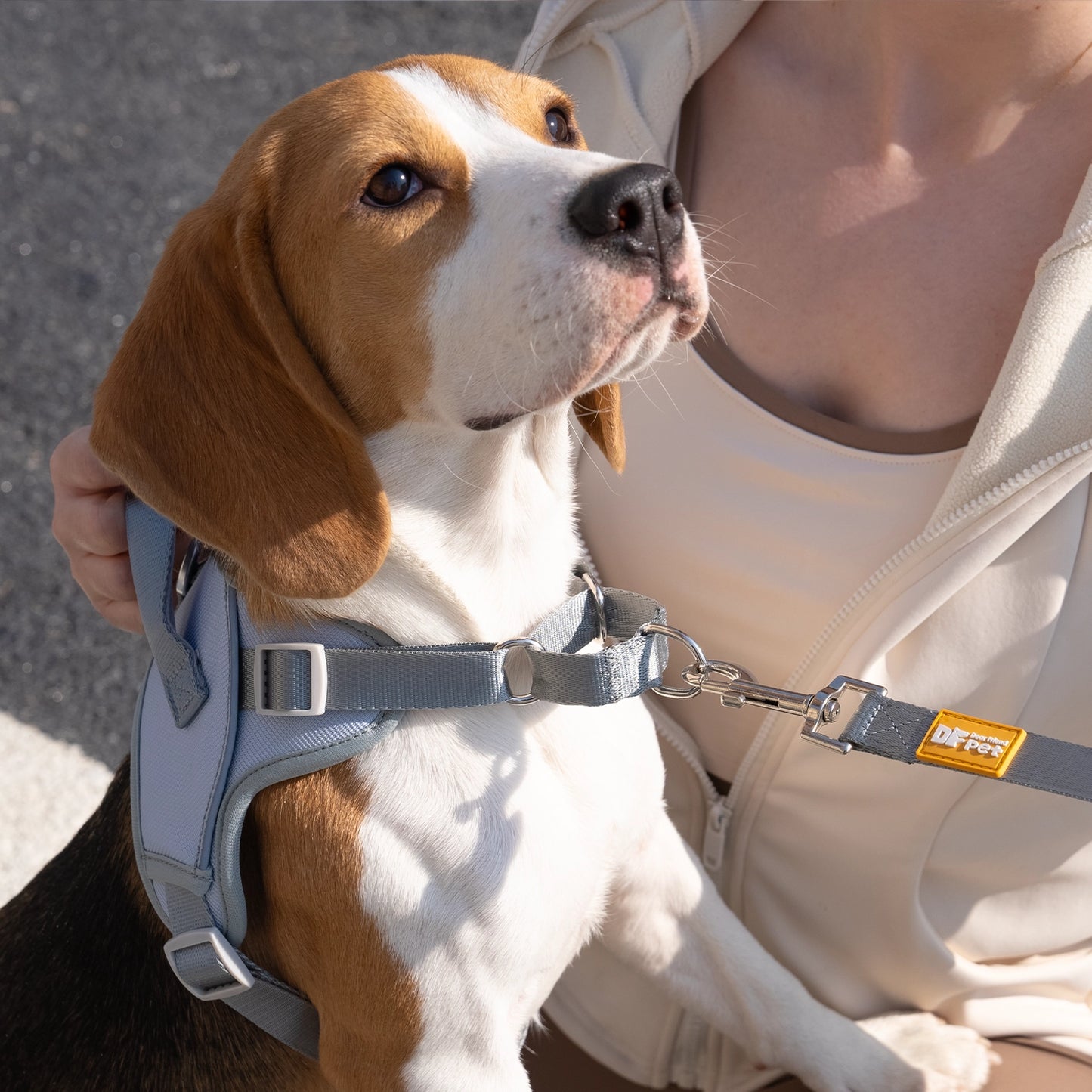 Martingo Gentle Harness Walk Kit - Gray