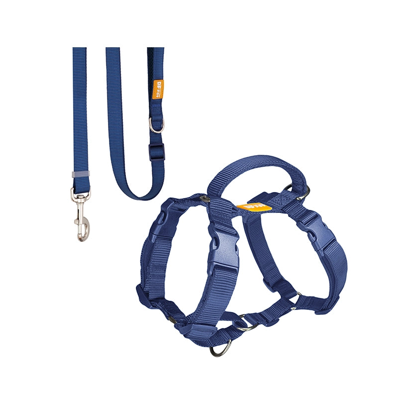 For owners who use a single clip to walk their dog