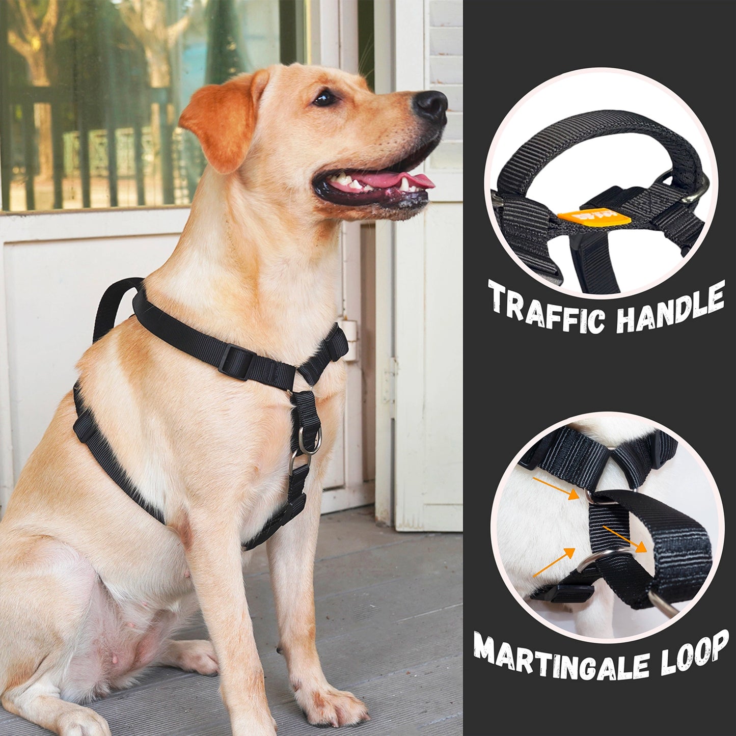 Martingale No-Pull Harness - Black