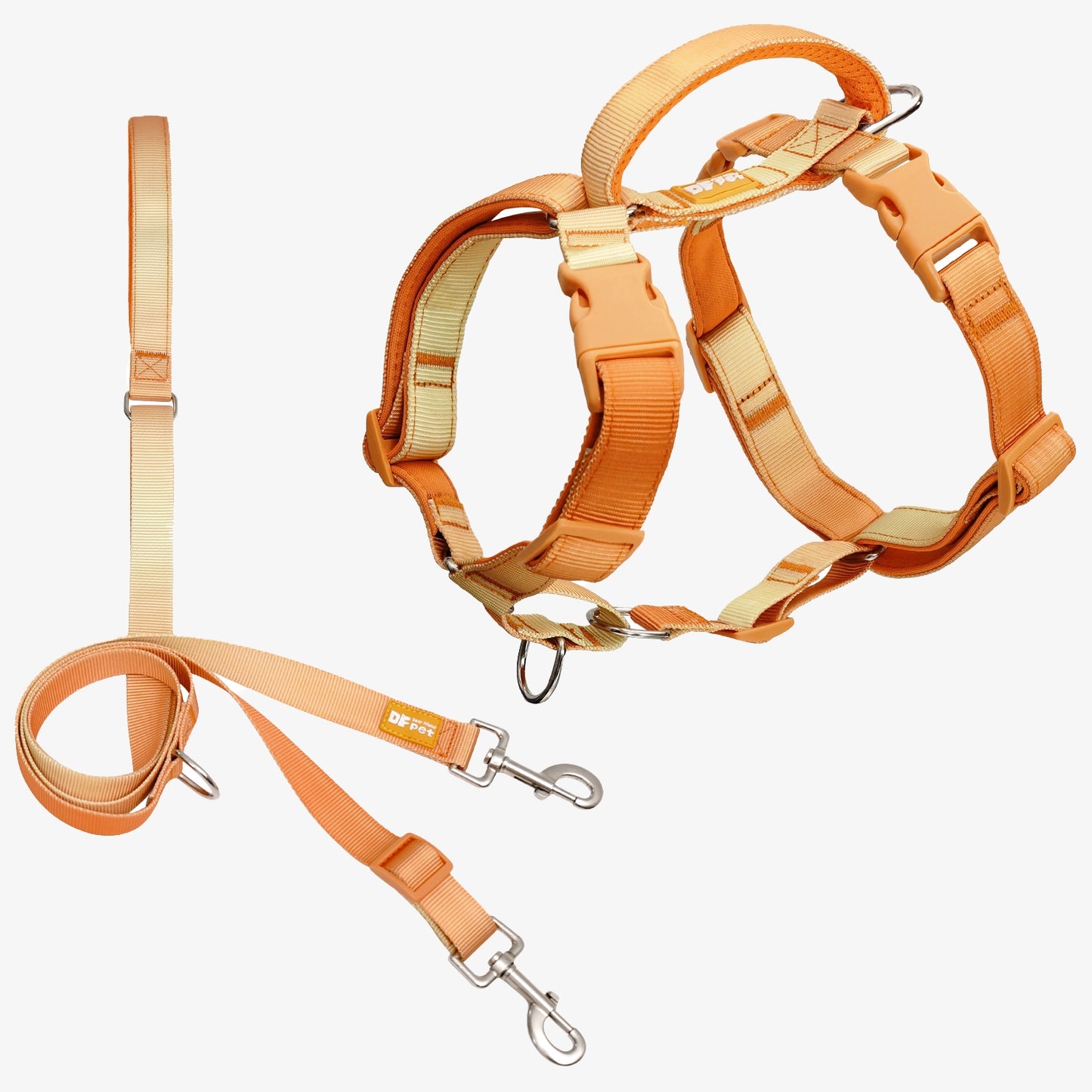 Martingale Harness & Double-Ended Leash Walk Kit - Gradient Orange