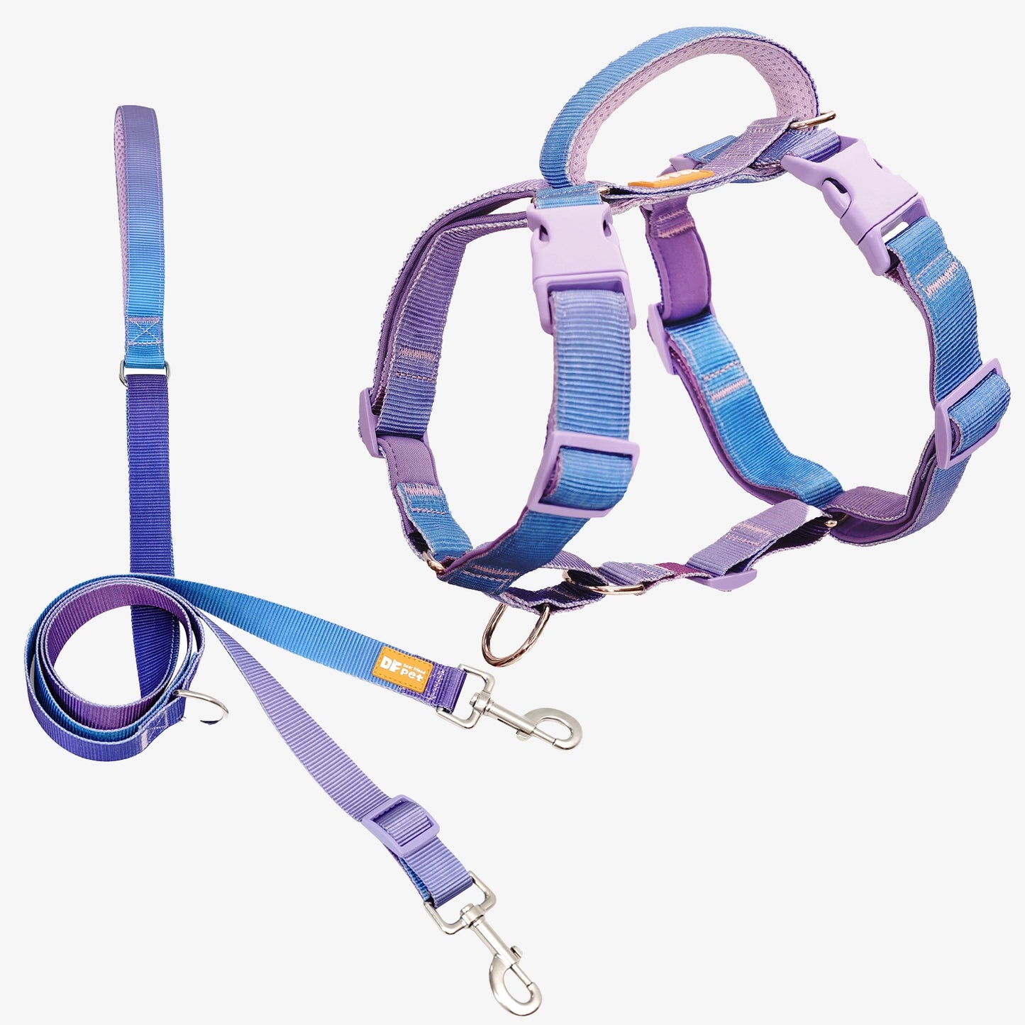 Martingale Harness & Double-Ended Leash Walk Kit - Rainbow