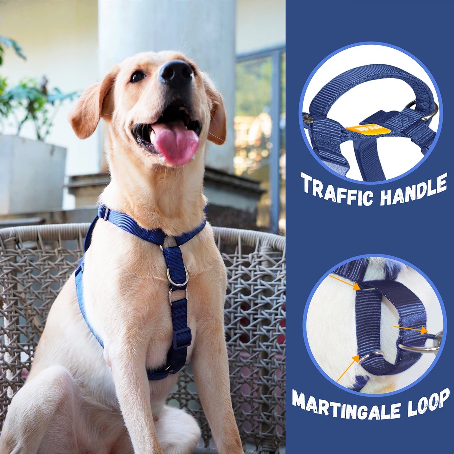 Martingale Harness & Double-Ended Leash Walk Kit - Navy Blue