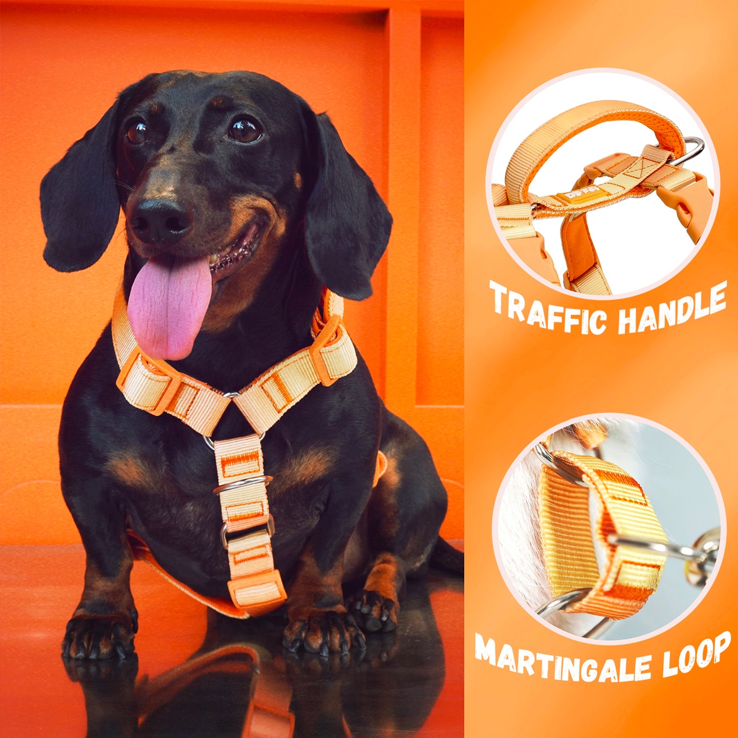 DF Martingale Dog Harness & Standard Leash Walk Kit - Gradient Orange