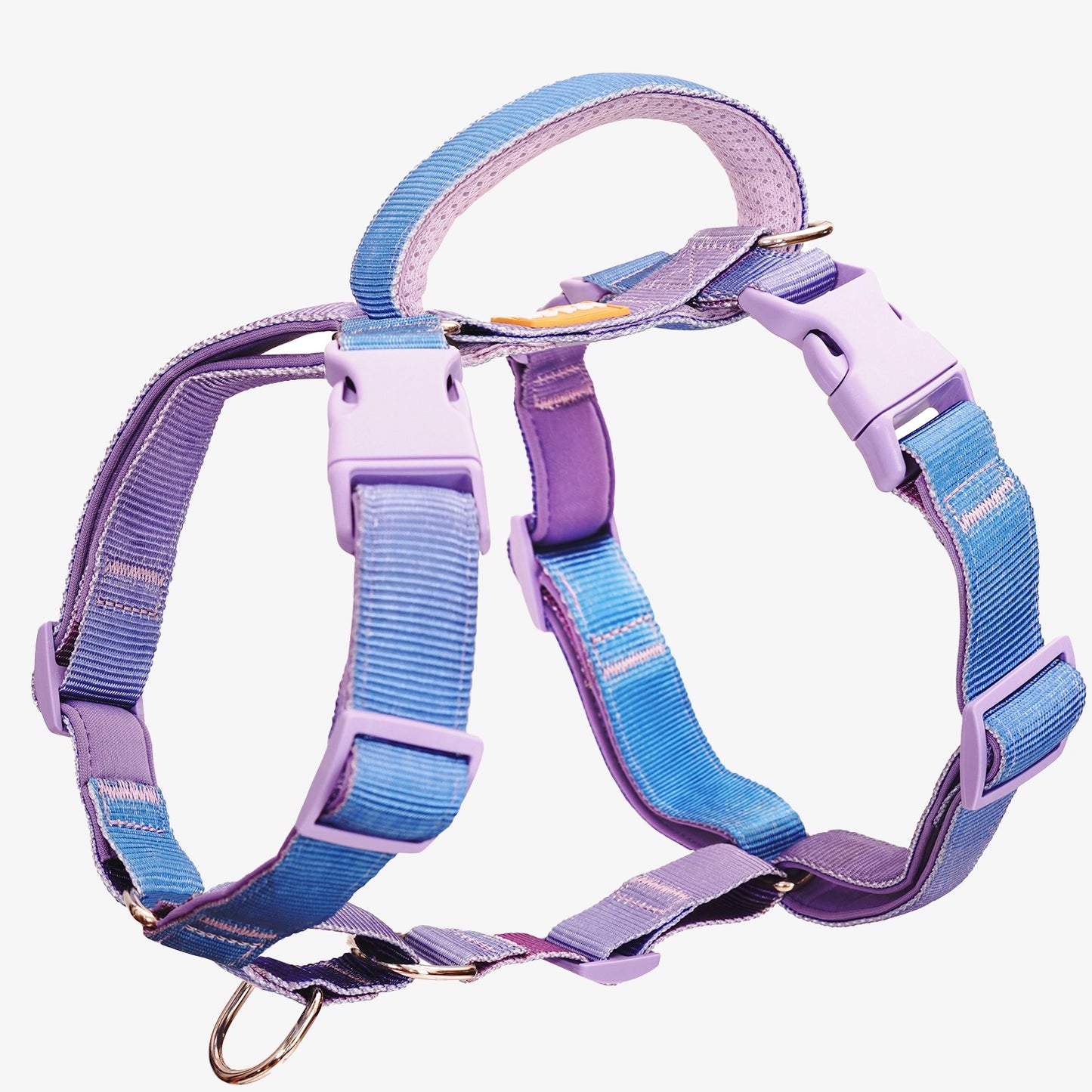 Martingale No-Pull Harness - Rainbow