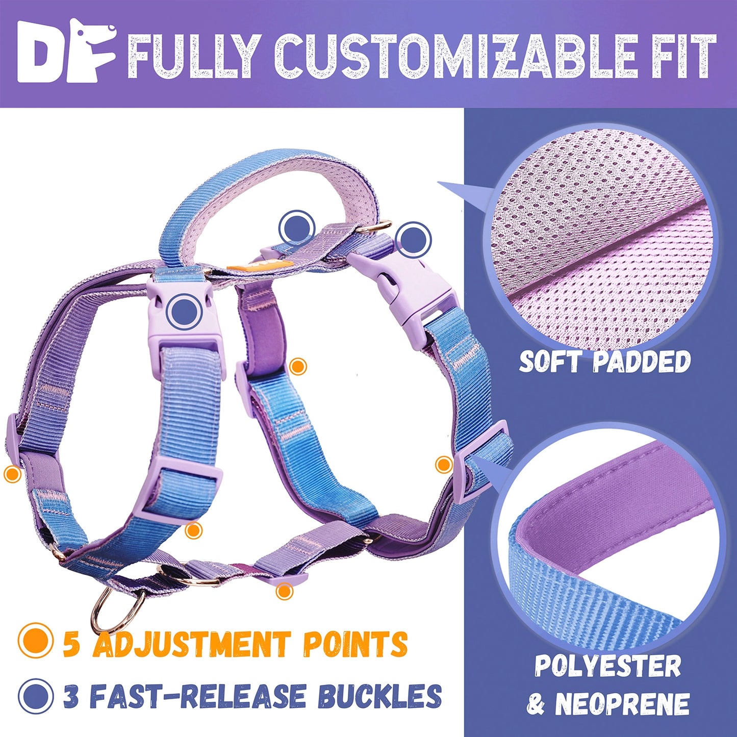 Martingale No-Pull Harness - Rainbow