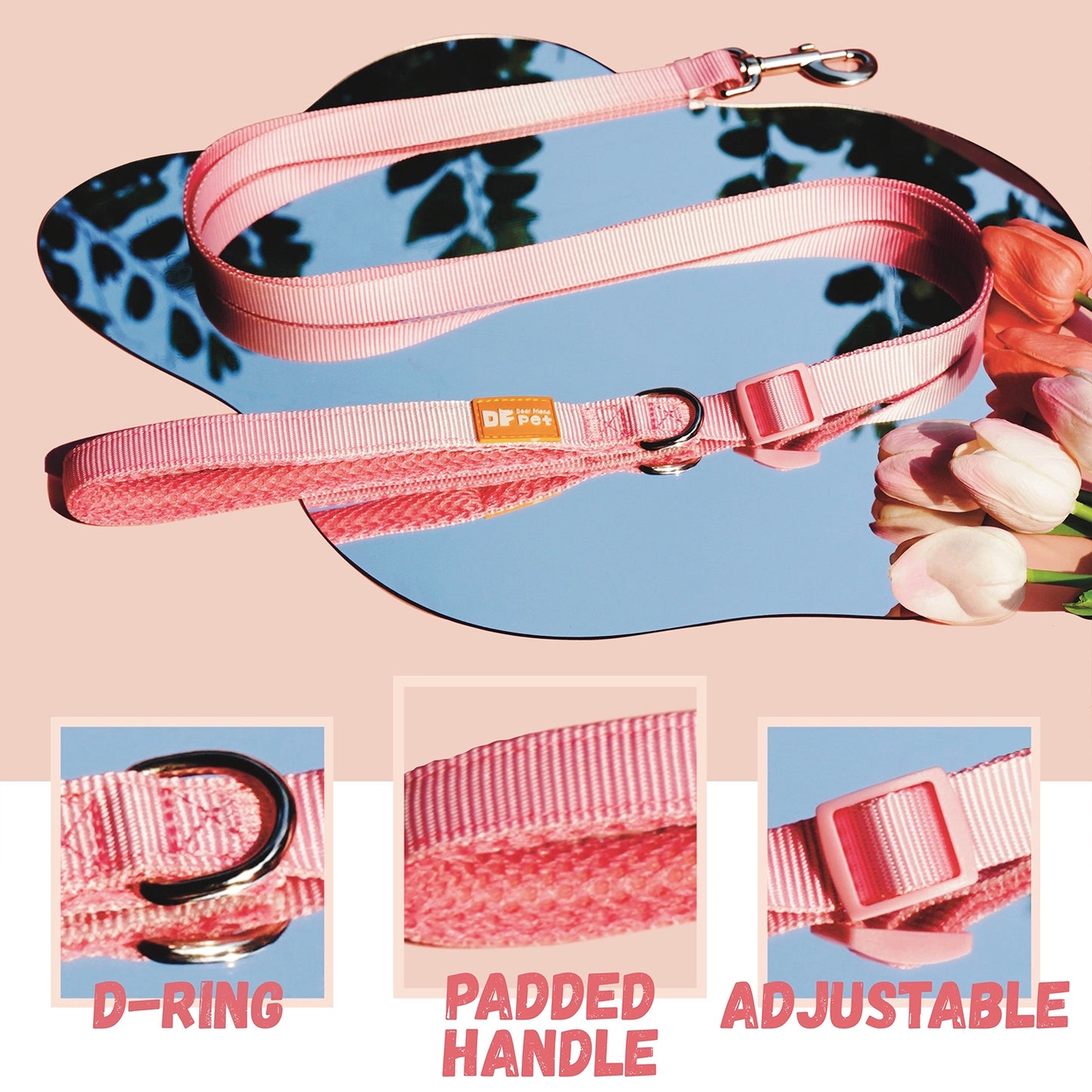 Standard Leash - Gradient Peach
