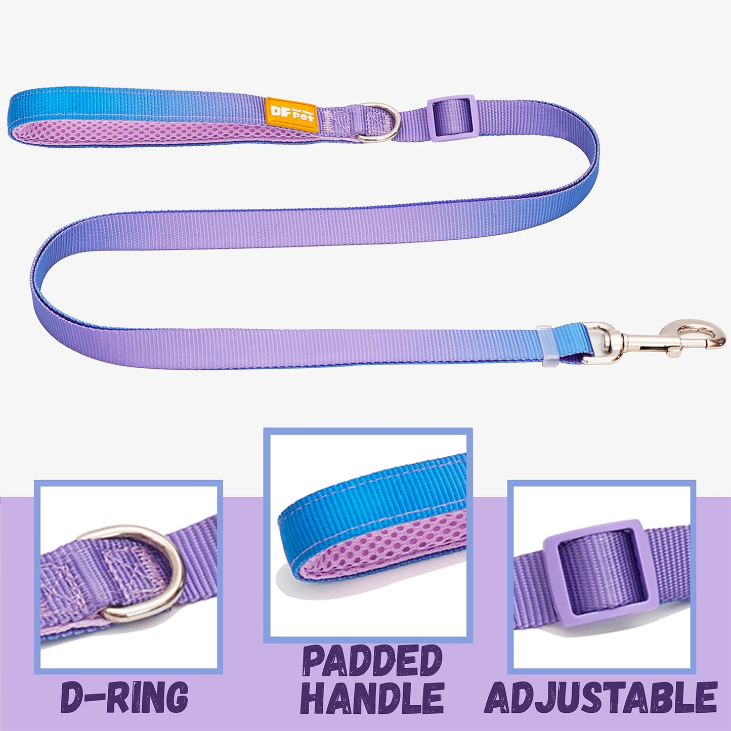 Standard Leash - Rainbow