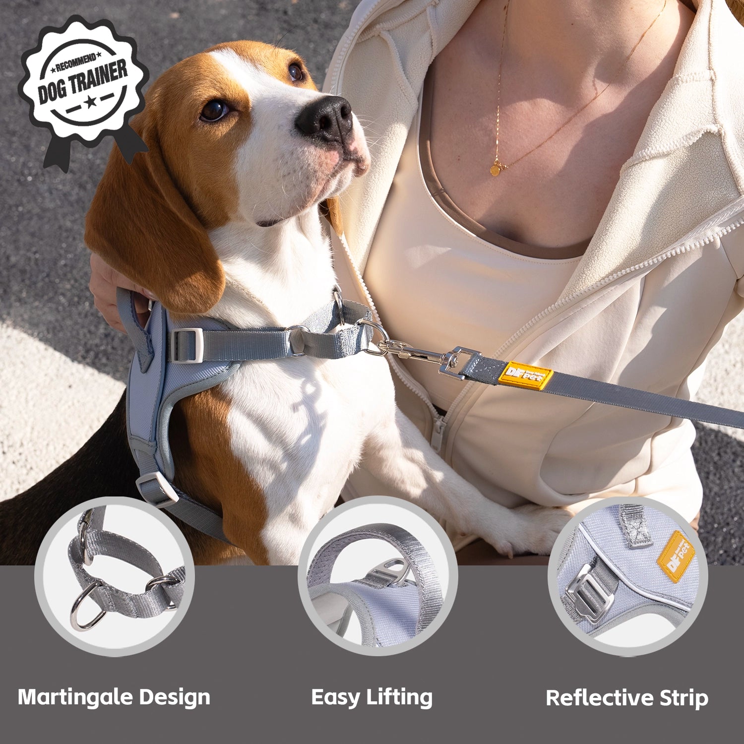 Gentle Leader Petco Easy Step In Harness Gentle Leader Petsafe No - Main Image