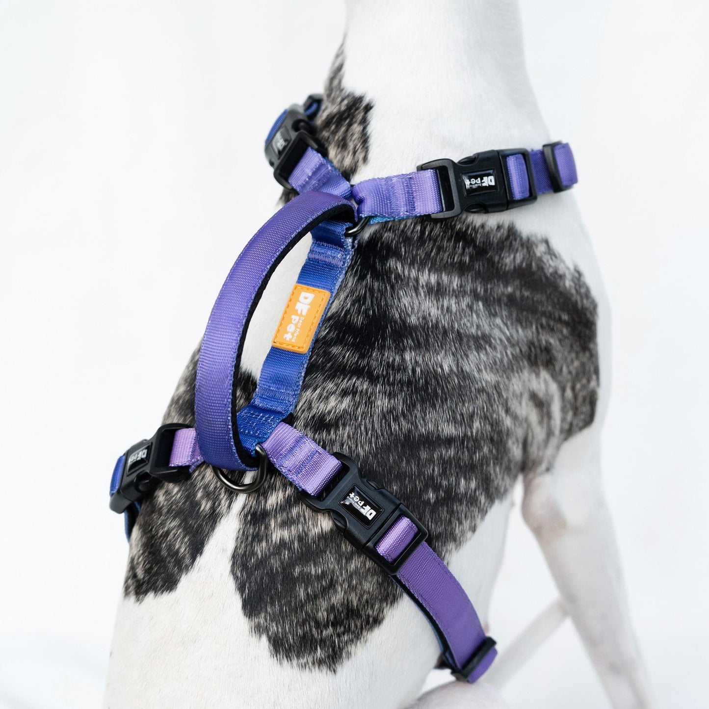 DFPET Harness Gradient Purple