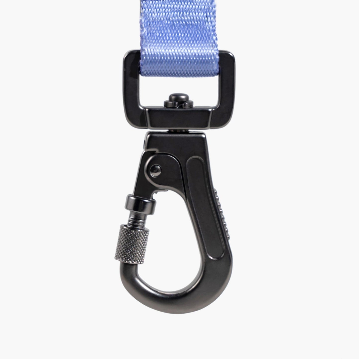 Multifunctional Bungee Leash - Gradient Purple