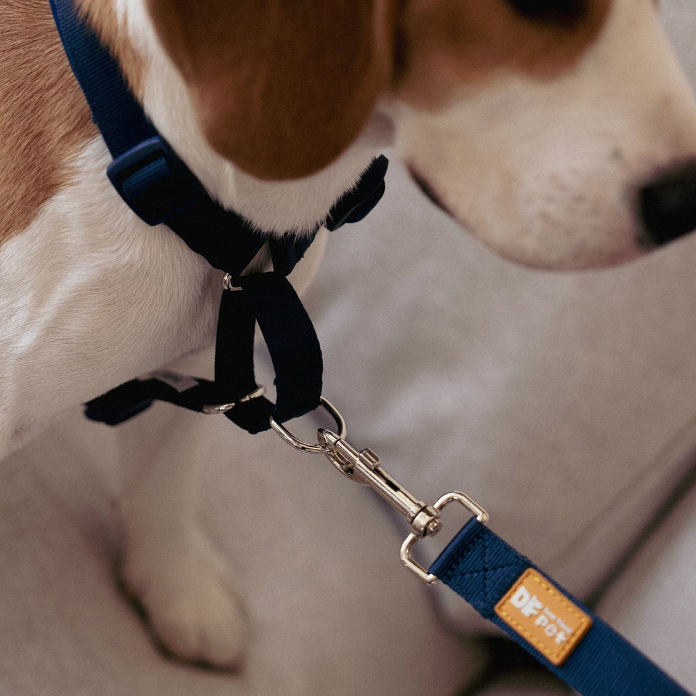 What is a Martingale Dog Harness?