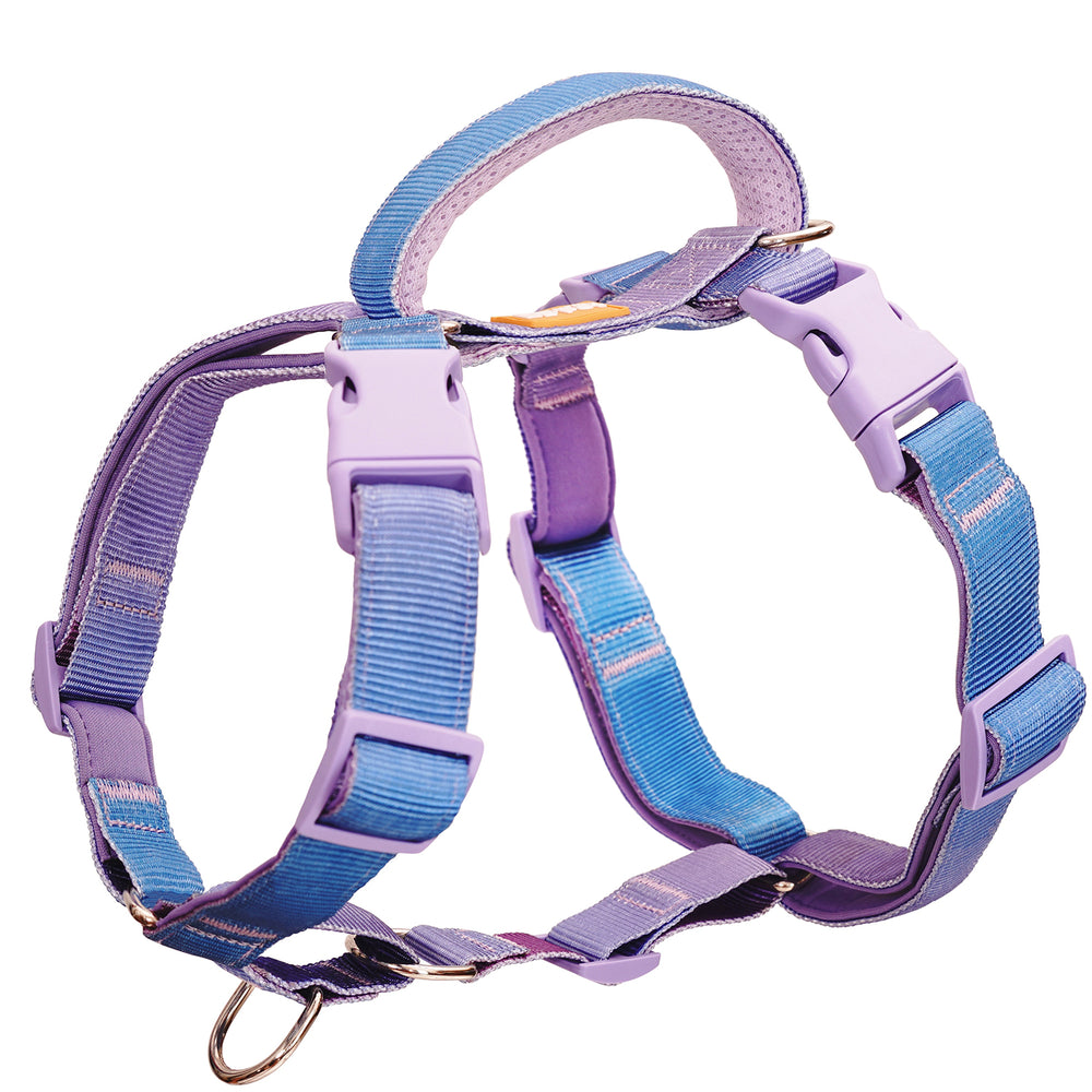 
                      
                        Martingale No-Pull Harness - Rainbow
                      
                    