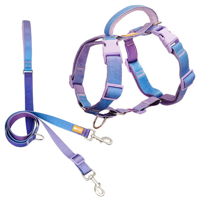 Martingale Harness & Double-Ended Leash Walk Kit - Rainbow