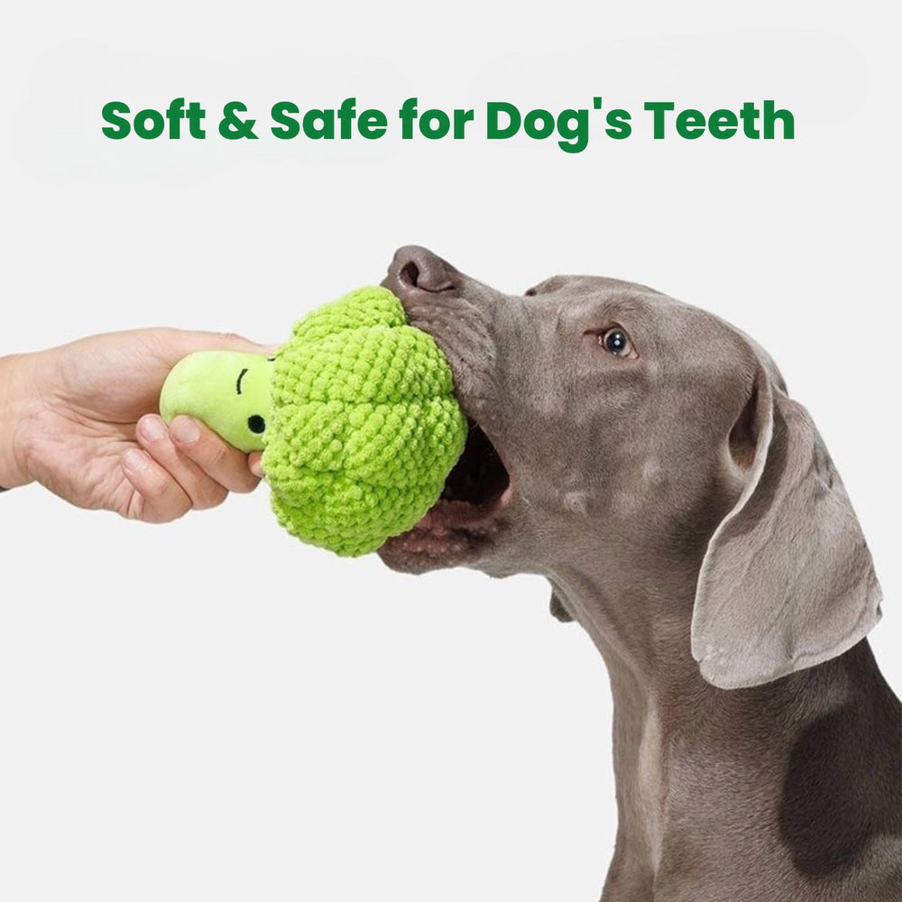 
                      
                        Broccoli Squeaker Dog Toy
                      
                    