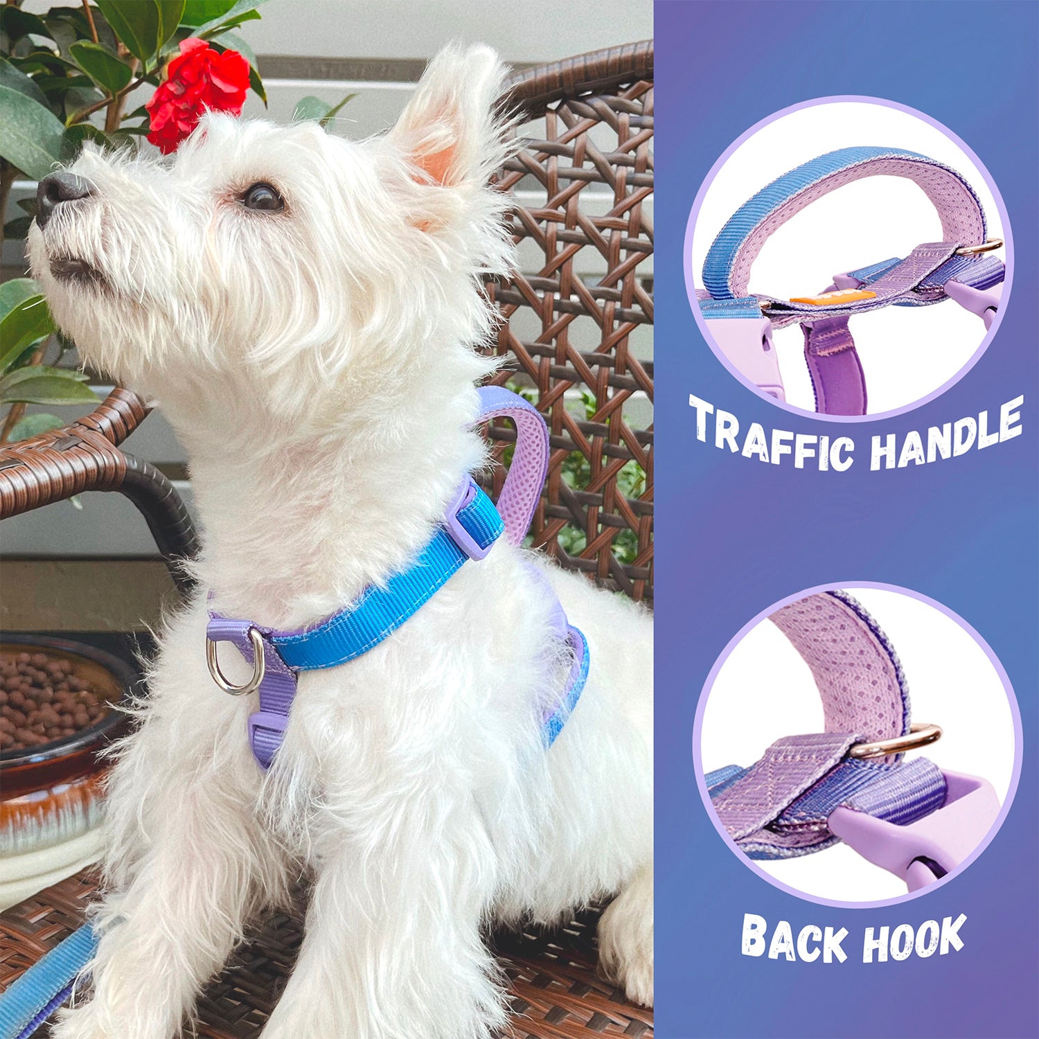 DFPET No Pull Front Clip Padded Handle Adjustable Dog Harness DFpet