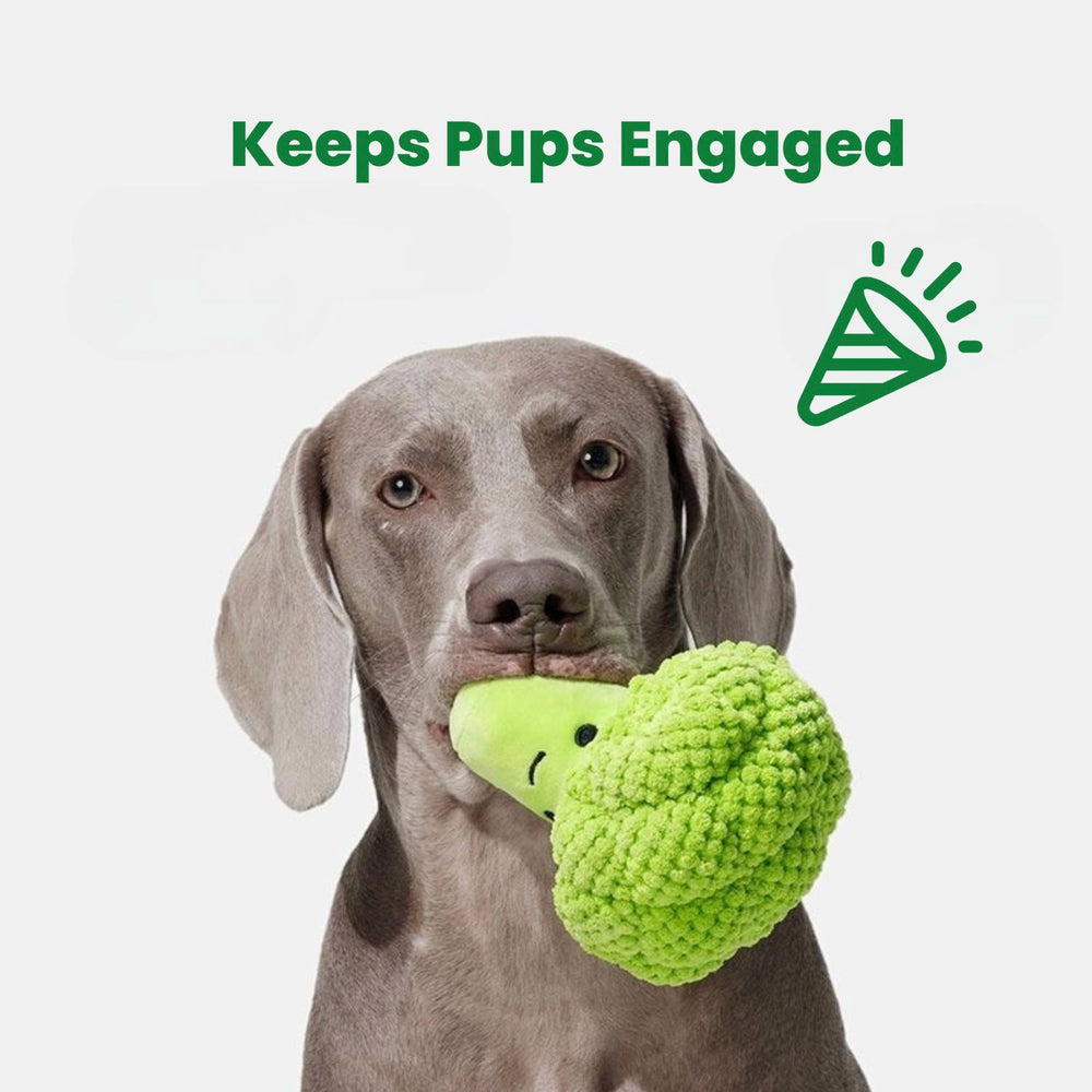 
                      
                        Broccoli Squeaker Dog Toy
                      
                    