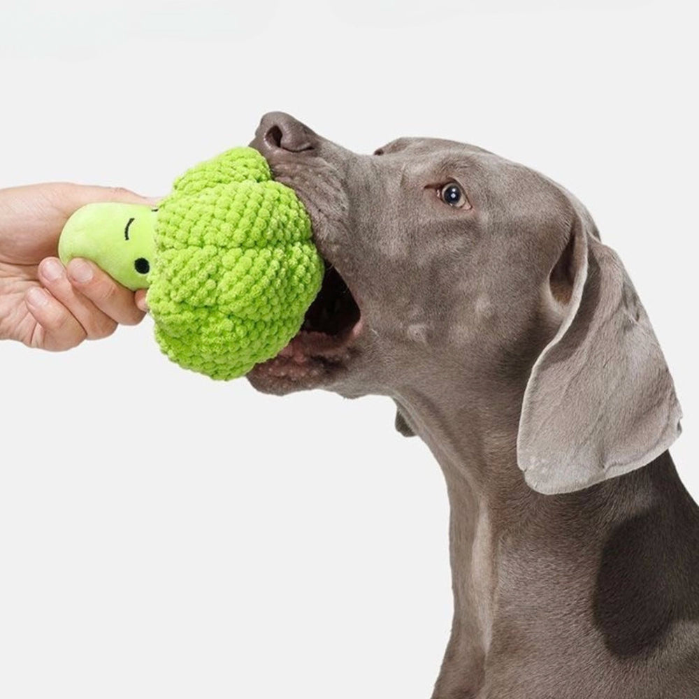 Broccoli Squeaker Dog Toy