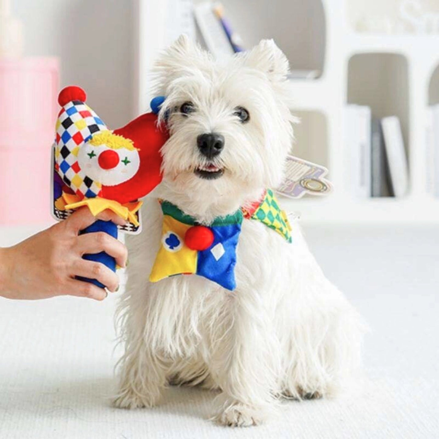 Circus Fun Pet Toys