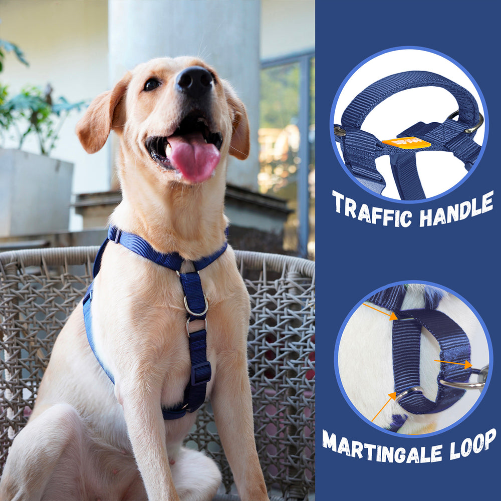 
                      
                        Martingale Dog Harness & Standard Leash Walk Kit - Navy Blue
                      
                    