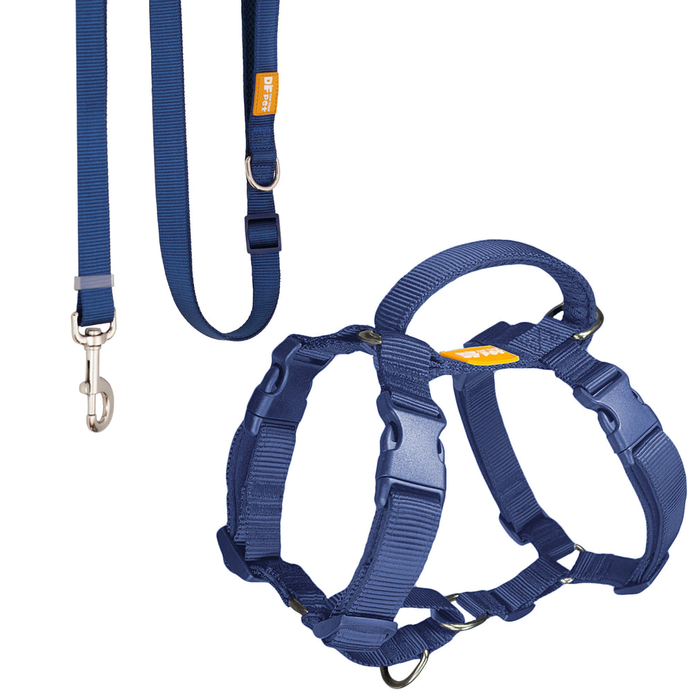 Martingale Dog Harness & Standard Leash Walk Kit - Navy Blue