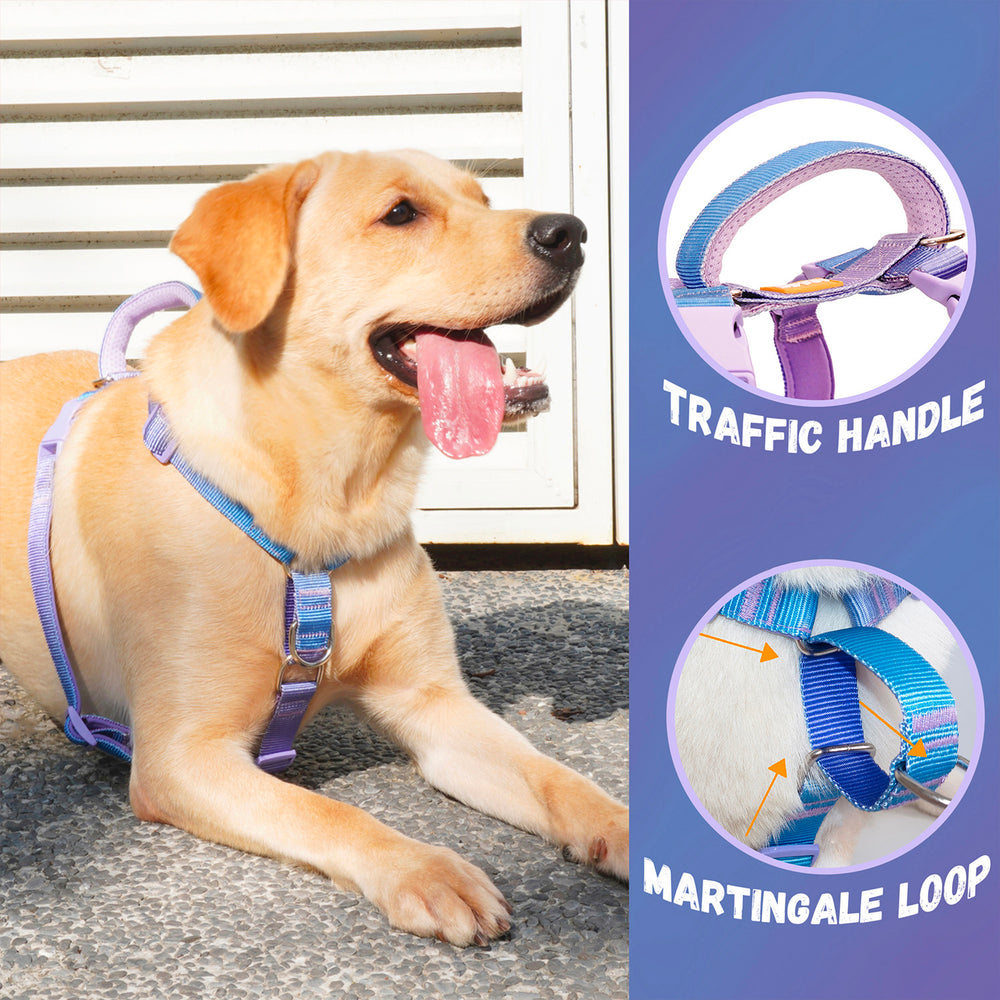 
                      
                        Martingale No-Pull Harness - Rainbow
                      
                    