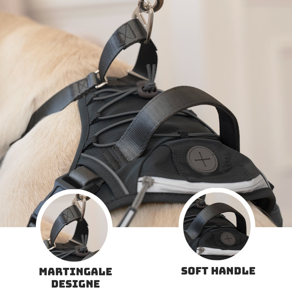 
                      
                        Martingo Runner Harness Walk Kit - Black
                      
                    