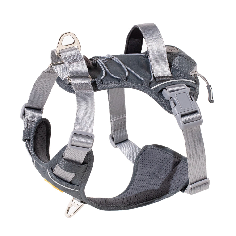 Martingo Runner - Gray