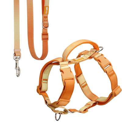 DF Martingale Dog Harness & Standard Leash Walk Kit - Gradient Orange