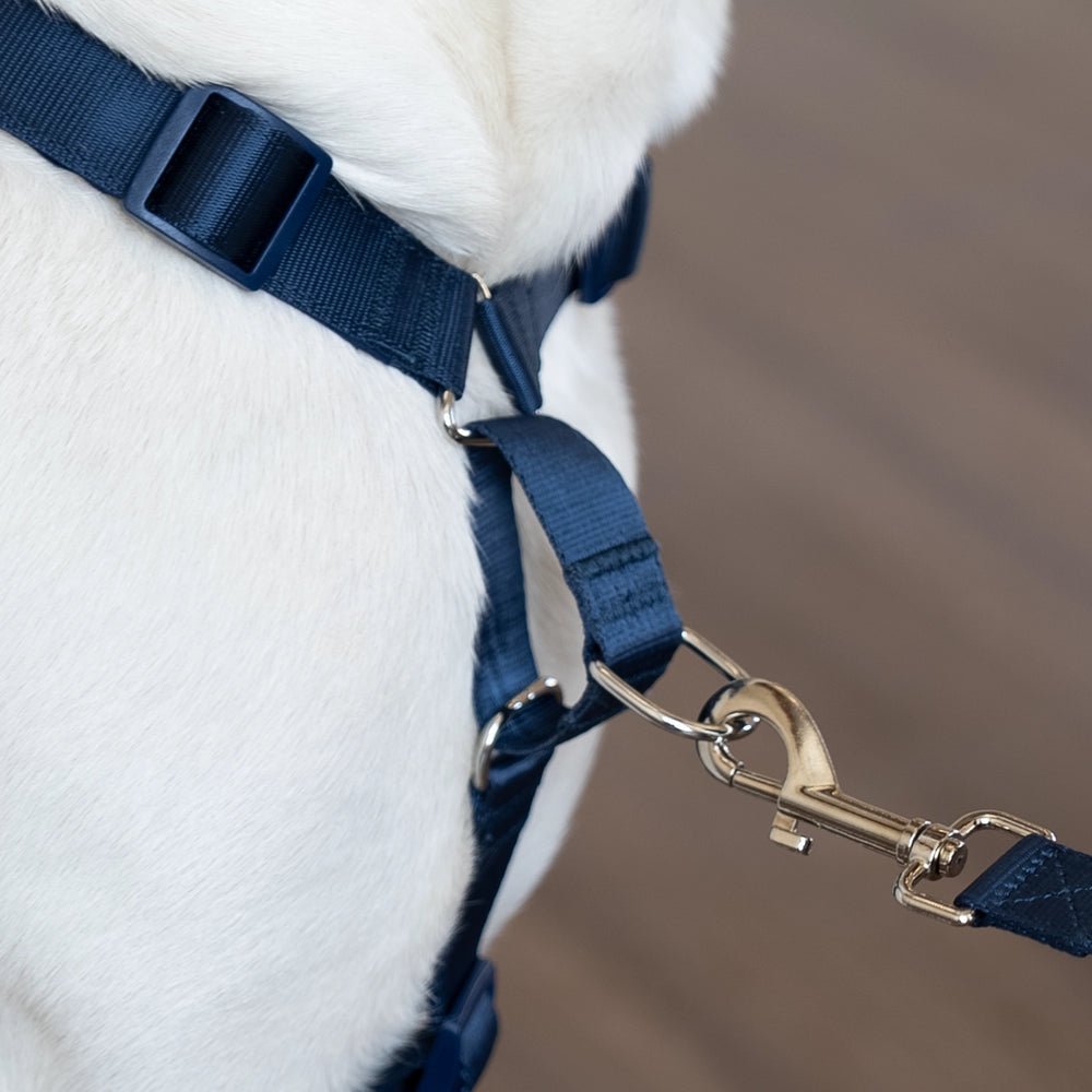 
                      
                        Martingo Dash Harness Walk Kit - Navy Blue
                      
                    