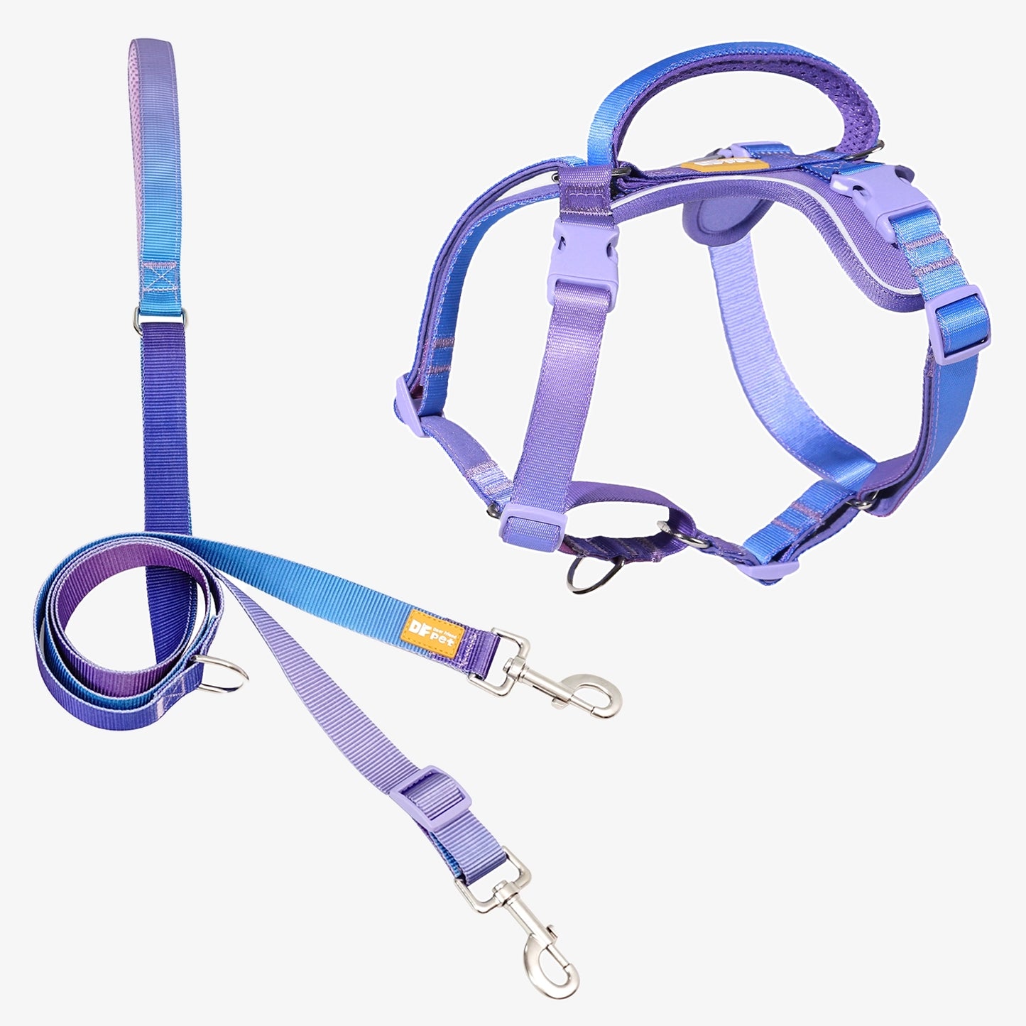 Martingo Dash Harness Walk Kit - Rainbow