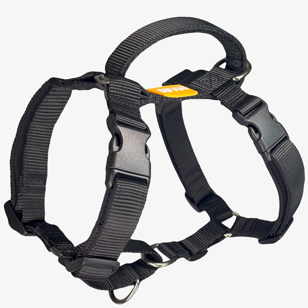 Martingale No-Pull Harness - Black