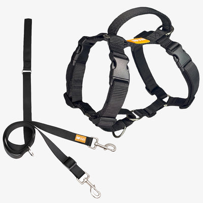 Martingale Harness & Double-Ended Leash Walk Kit - Black