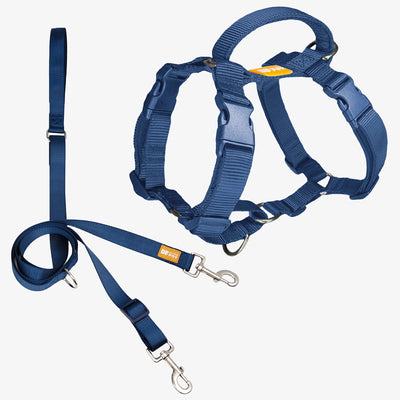 Martingale Harness & Double-Ended Leash Walk Kit - Navy Blue