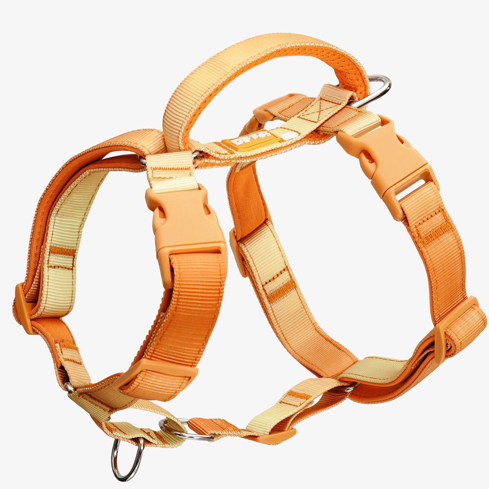 
                      
                        Martingale No-Pull Harness - Gradient Orange
                      
                    