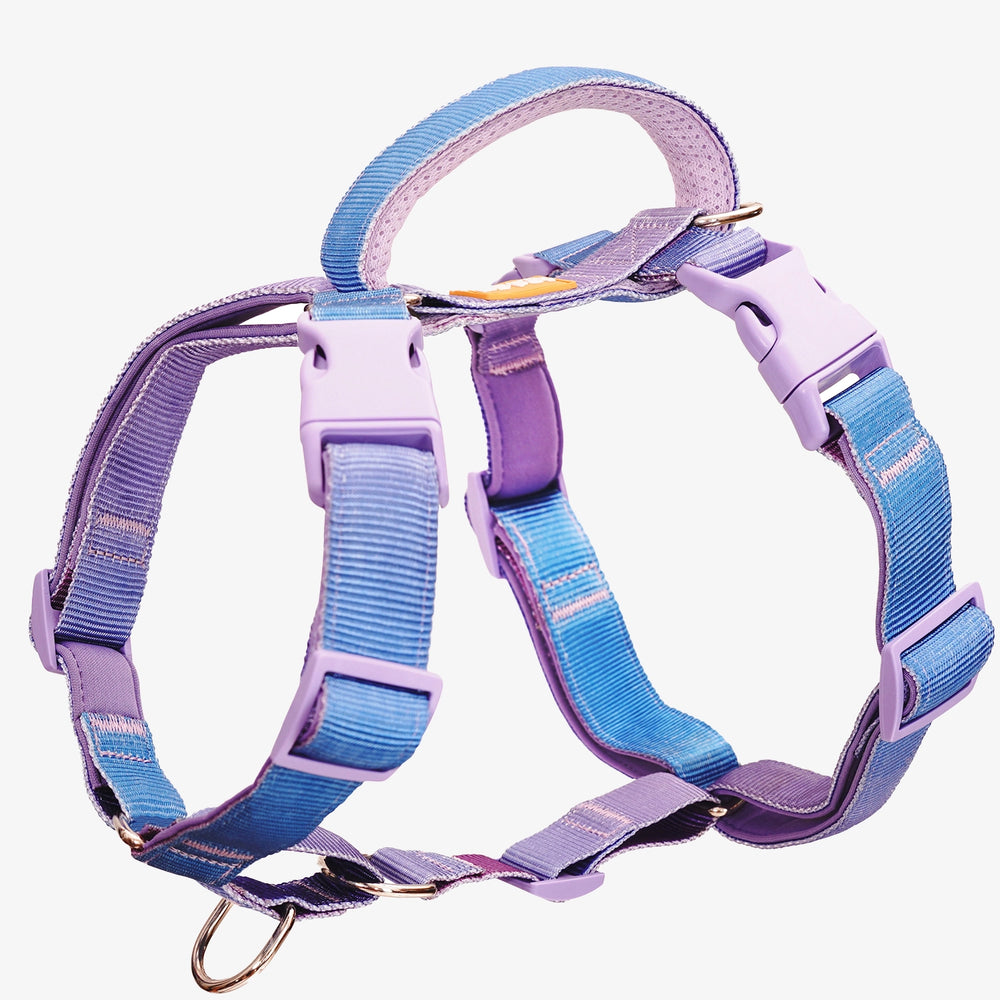 
                      
                        Martingale No-Pull Harness - Rainbow
                      
                    