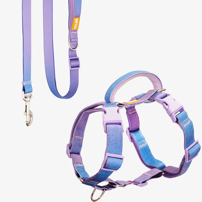 Martingale Dog Harness & Standard Leash Walk Kit - Rainbow