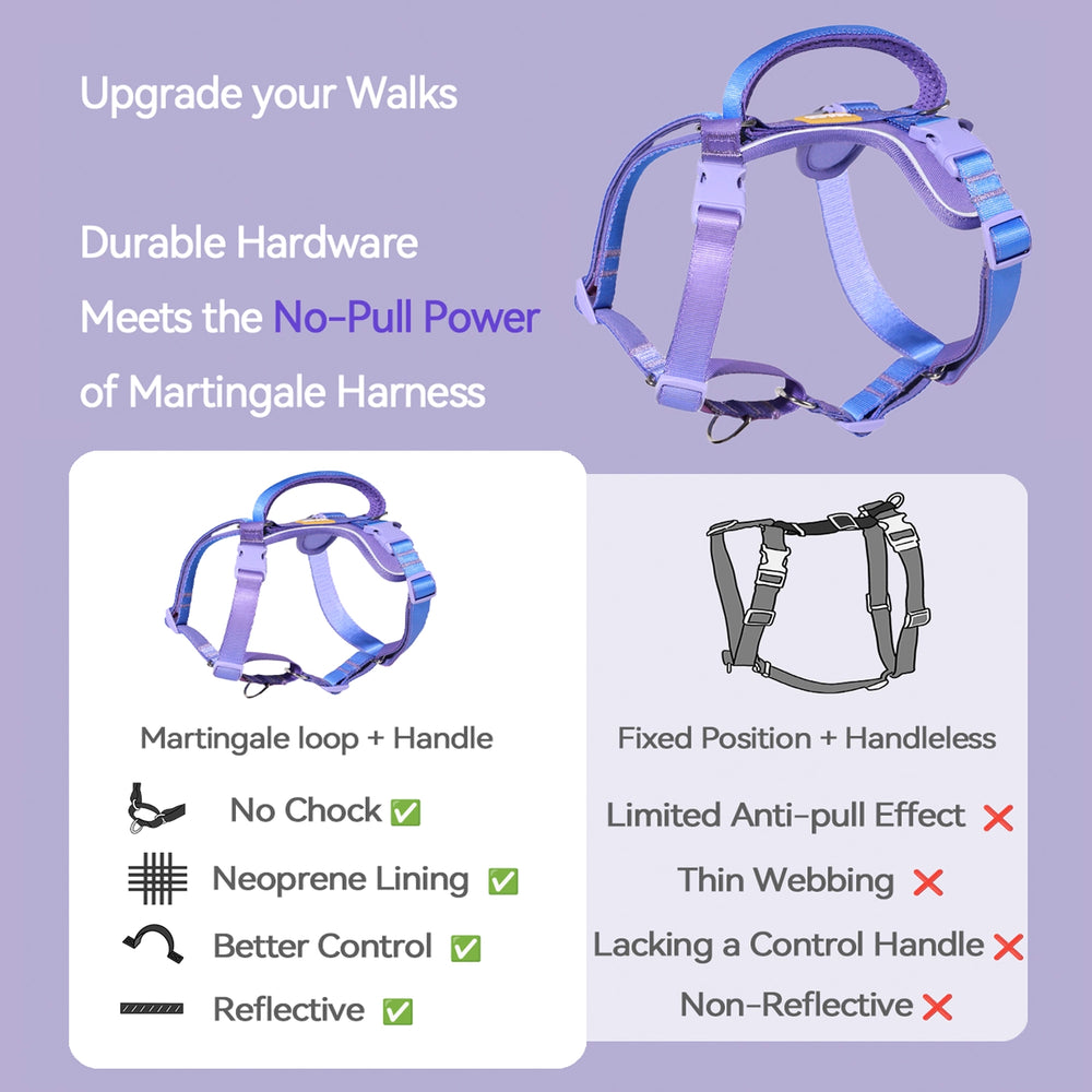 
                      
                        Martingo Dash Harness Walk Kit - Rainbow
                      
                    