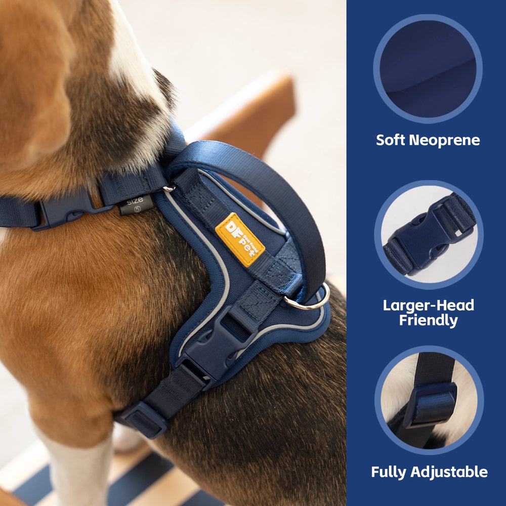 
                      
                        Martingo Dash - Navy Blue
                      
                    