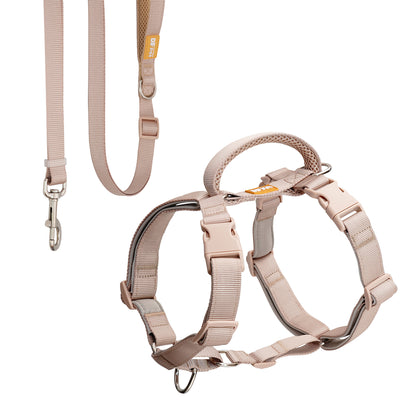 DF Martingale Dog Harness & Standard Leash Walk Kit