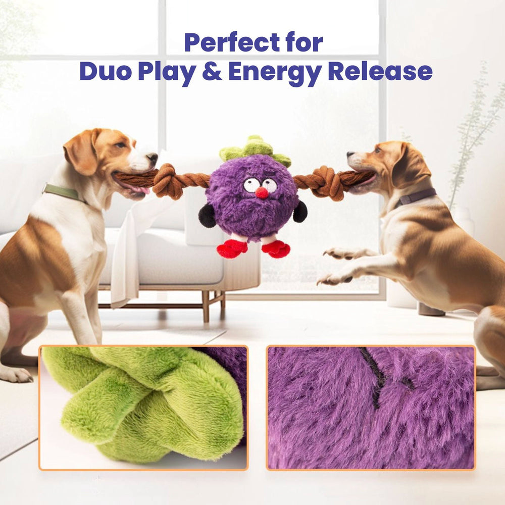 Tug & Interactive Tug Toy