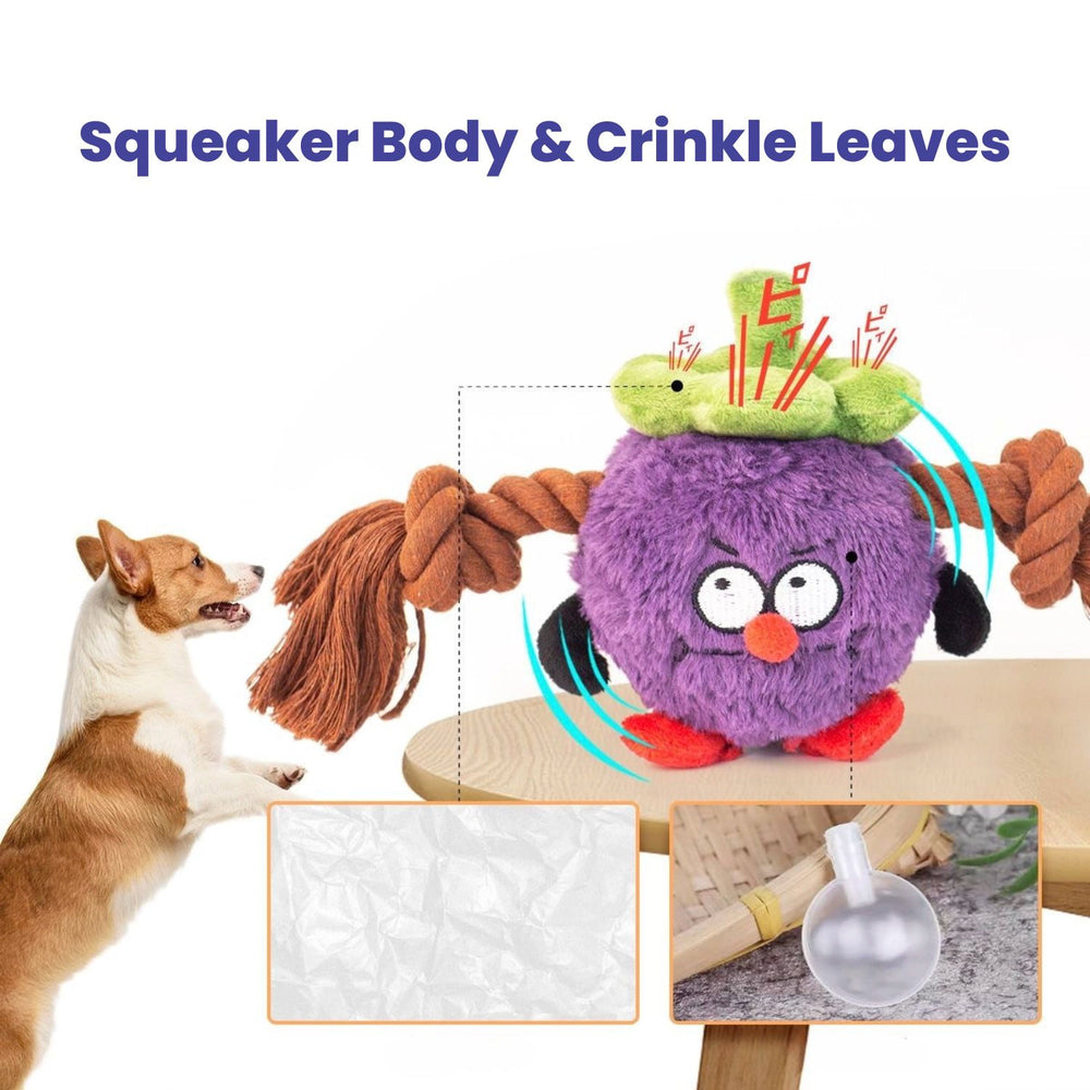 
                      
                        Tug & Interactive Tug Toy
                      
                    
