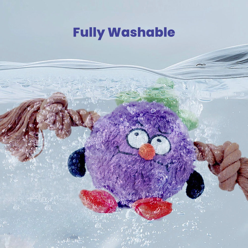 
                      
                        Tug & Interactive Tug Toy
                      
                    