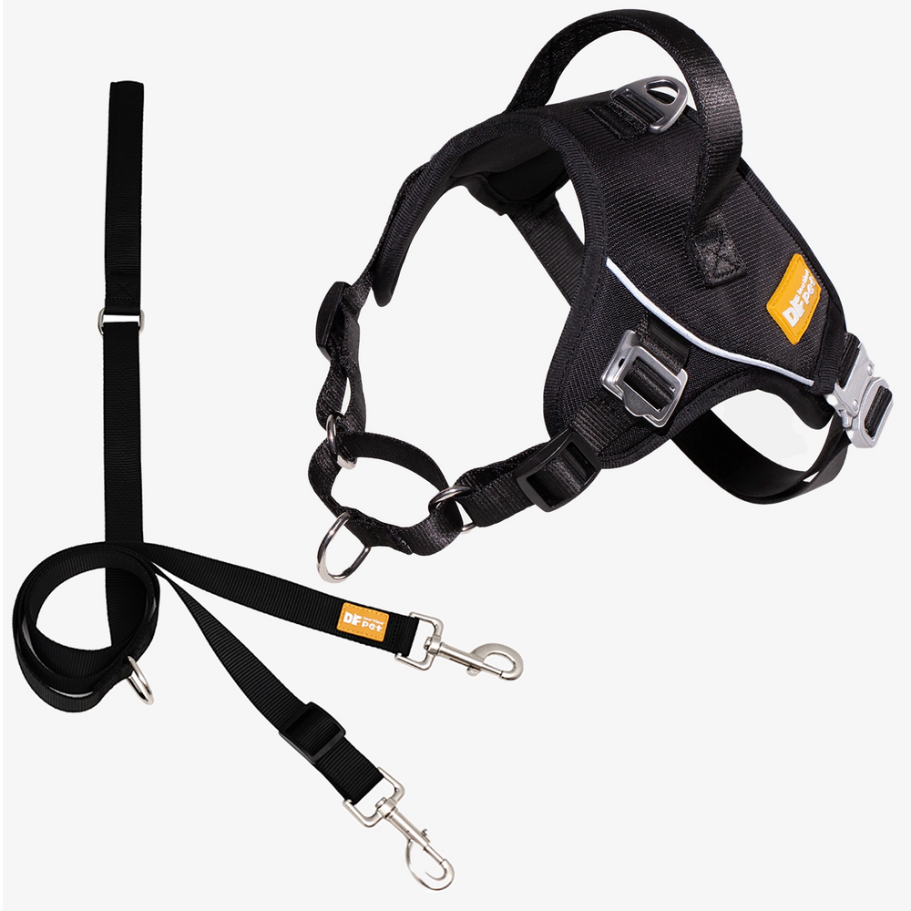 Martingo Gentle Harness Walk Kit - Black