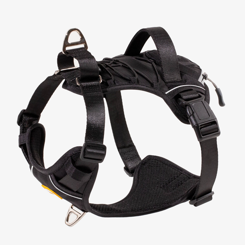 Martingo Runner - Black