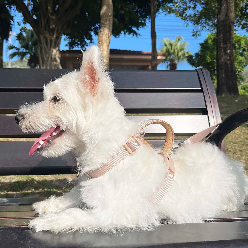 
                      
                        No-Pull Front Clip Neoprene Harness
                      
                    