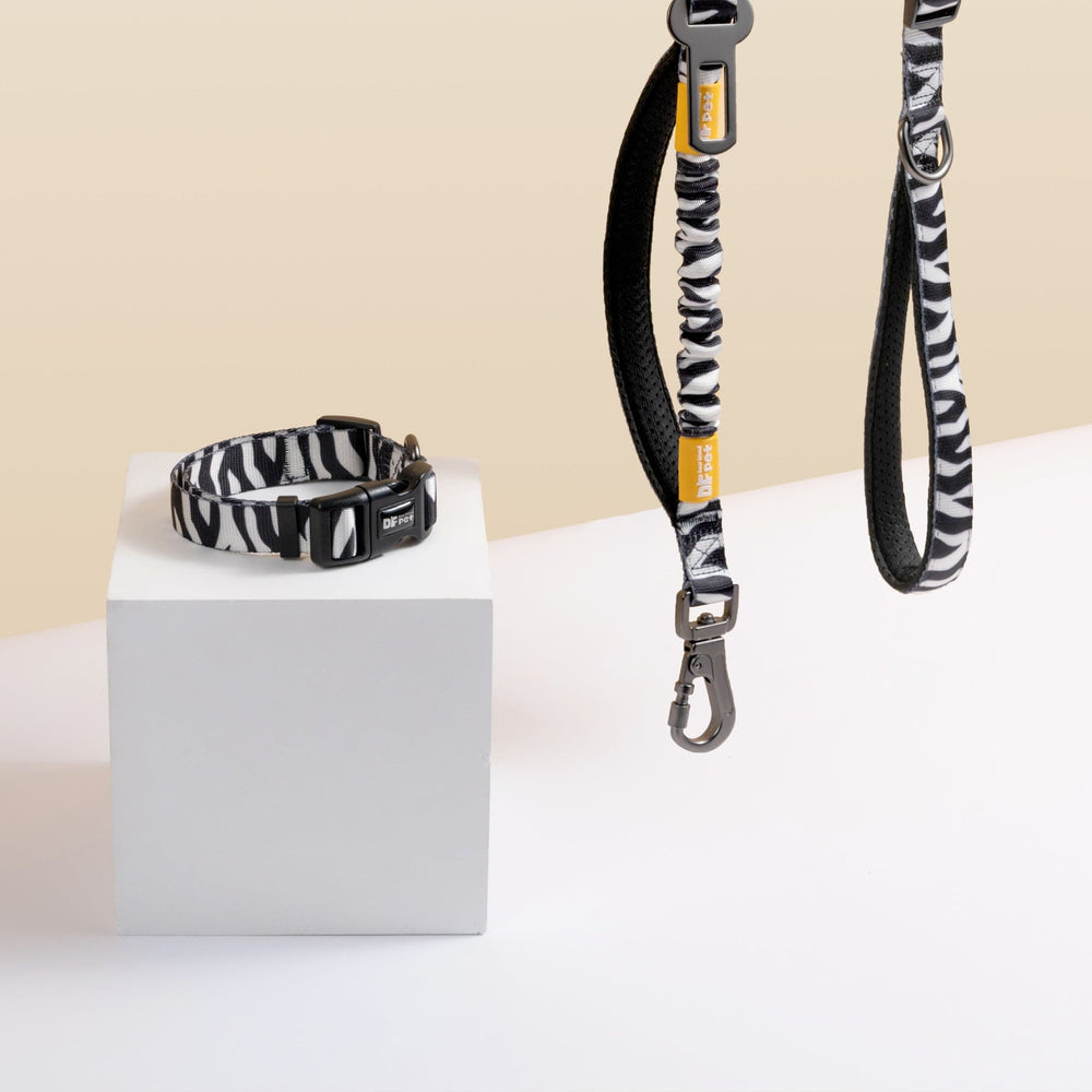 Collar Walk Kit - Zebra Print